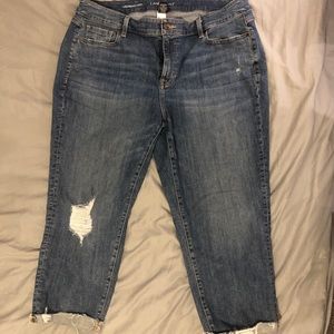 Lane Bryant Capri Girlfriend Crop size 18R